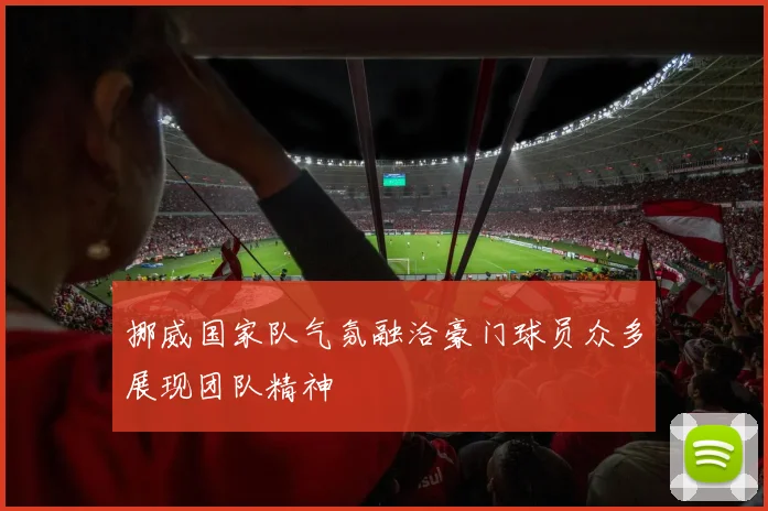 挪威国家队气氛融洽豪门球员众多展现团队精神