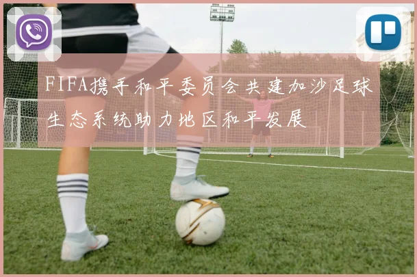 FIFA携手和平委员会共建加沙足球生态系统助力地区和平发展