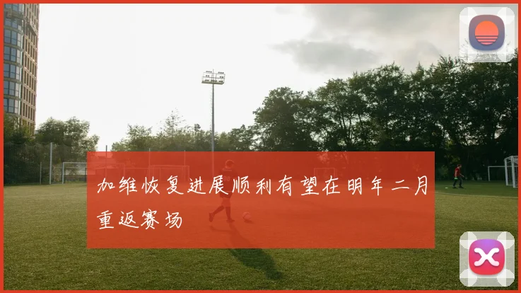 加维恢复进展顺利有望在明年二月重返赛场