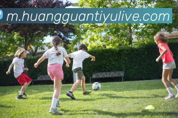 皇冠体育平台生态图